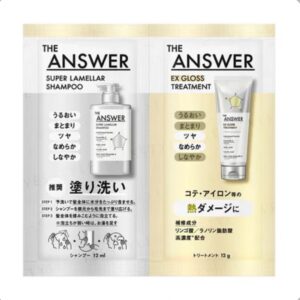 Kit Sachê The Answer – Super Lamellar Shampoo + EX Gloss Treatment