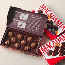 Meiji Chocolate Macadamia